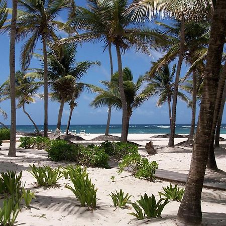 Hibiscus Beach Resort Кристианстед Экстерьер фото