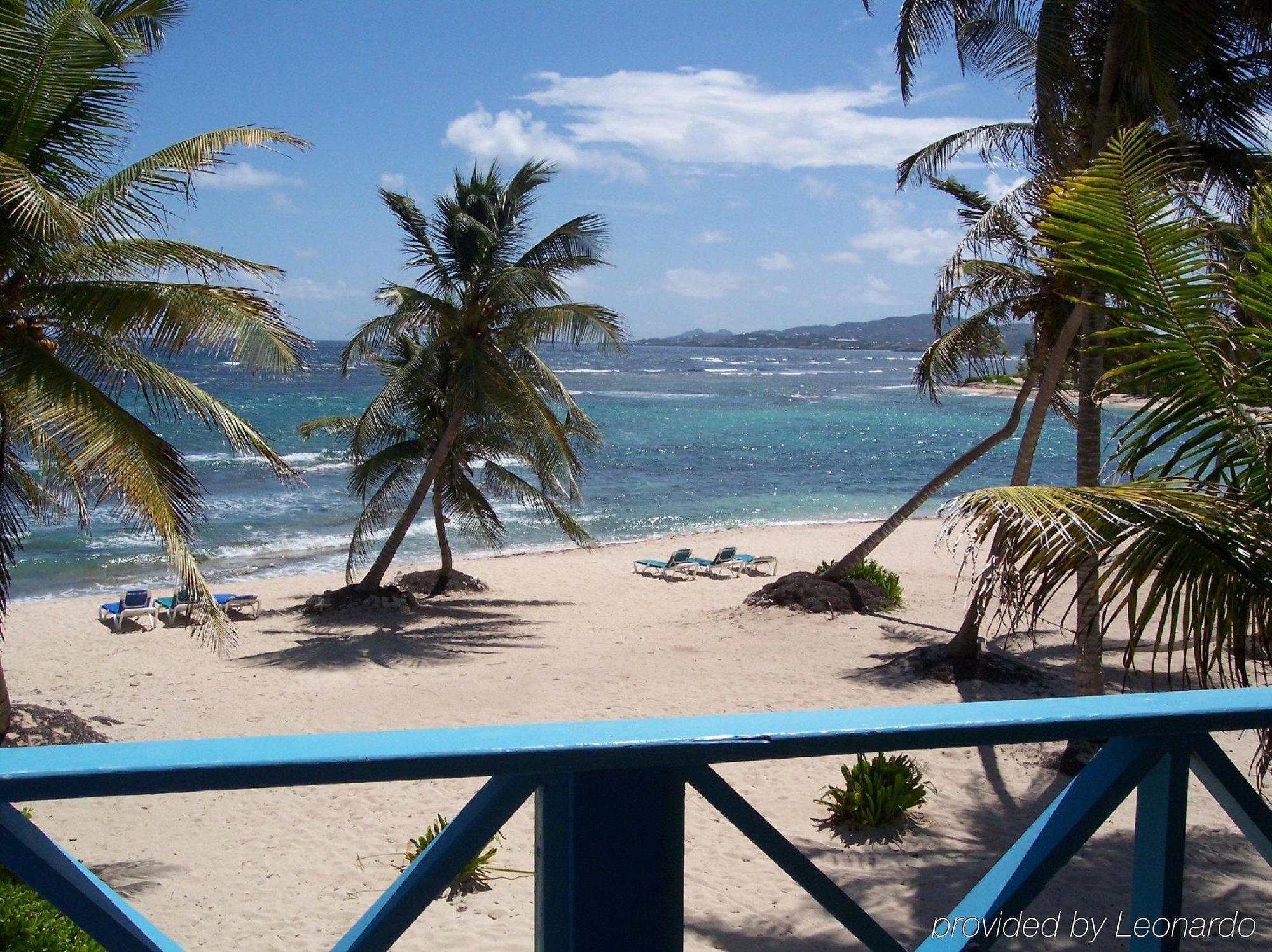 Hibiscus Beach Resort Кристианстед Экстерьер фото