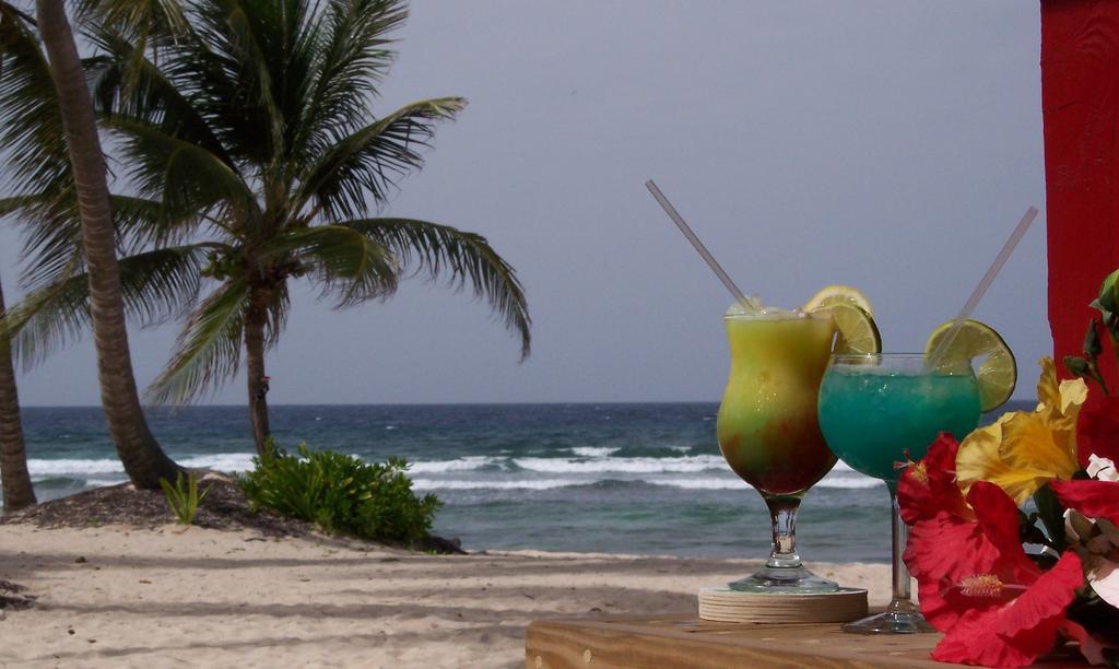 Hibiscus Beach Resort Кристианстед Экстерьер фото