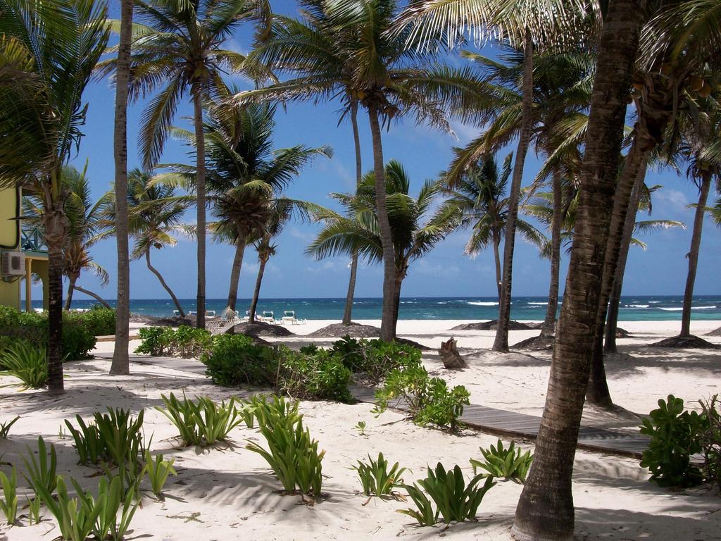 Hibiscus Beach Resort Кристианстед Экстерьер фото